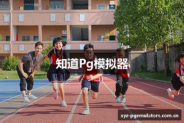 知道Pg模拟器